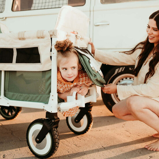 W4 Volkswagen stroller wagon special edition